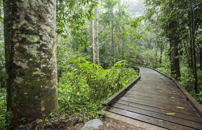 Riviera Mackay - Foto 33