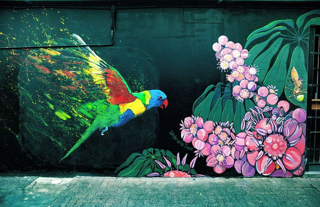 Riviera Mackay - Foto 29