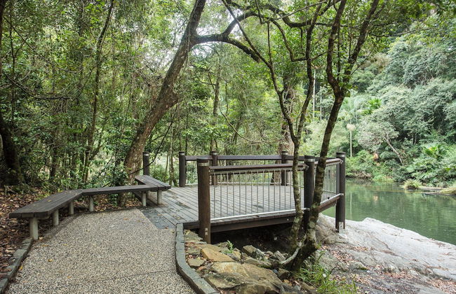 Riviera Mackay - Foto 28