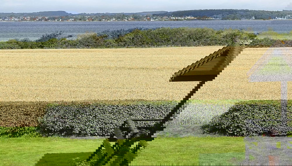 Imagem principal