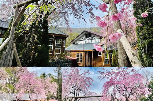 Photo 64 - Hakuba Canadian Lodge