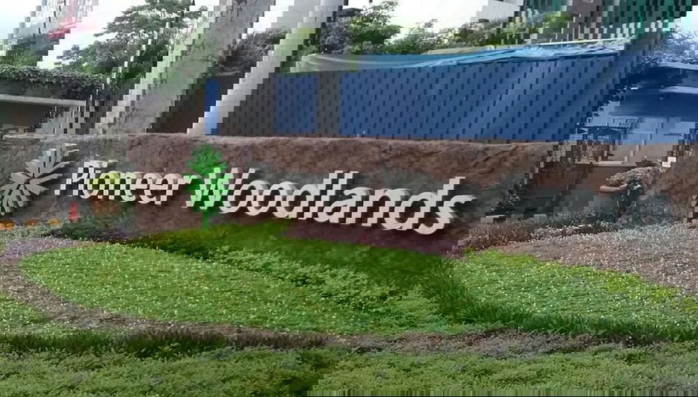 Imagem principal