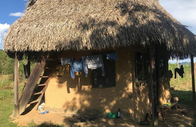 Ayahuaska - Photo 36