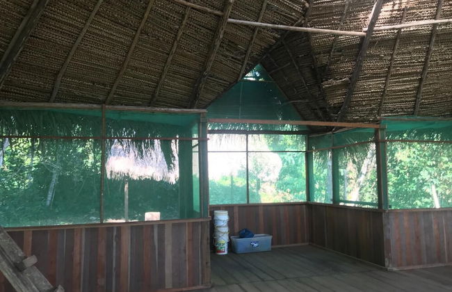 Ayahuaska - Photo 23