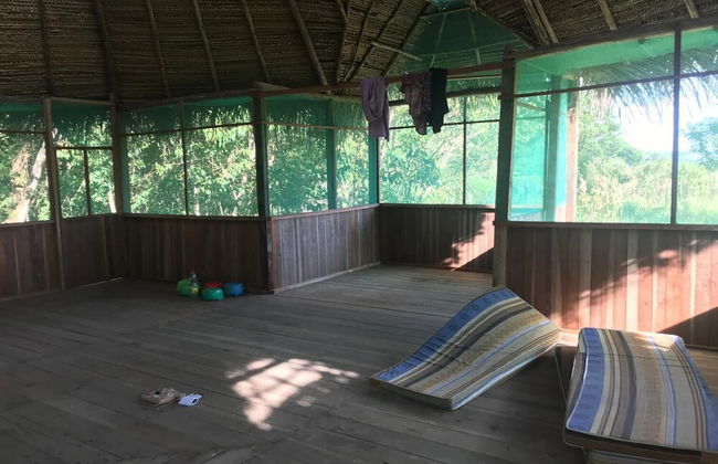 Ayahuaska - Photo 13