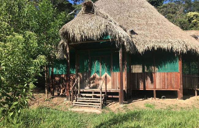 Ayahuaska - Photo 50