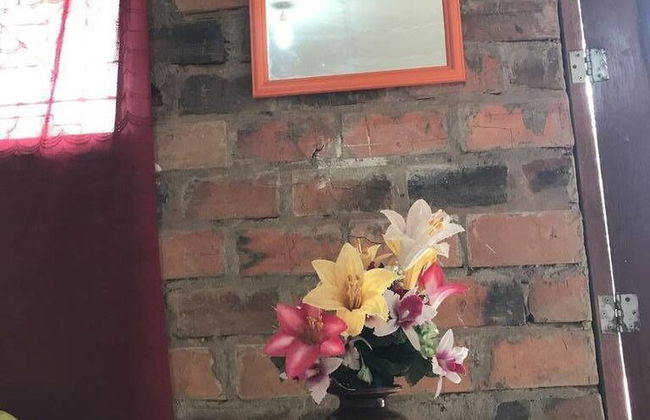 Ayahuaska - Photo 14