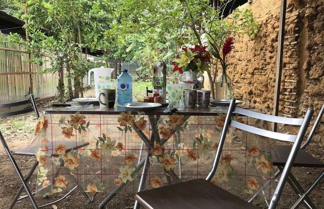 Ayahuaska - Photo 18