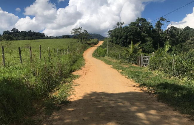 Ayahuaska - Photo 29