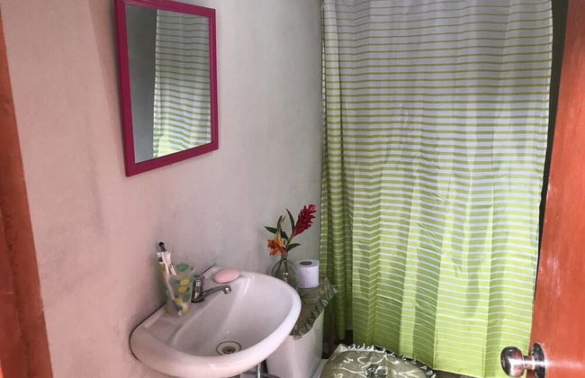 Ayahuaska - Photo 15