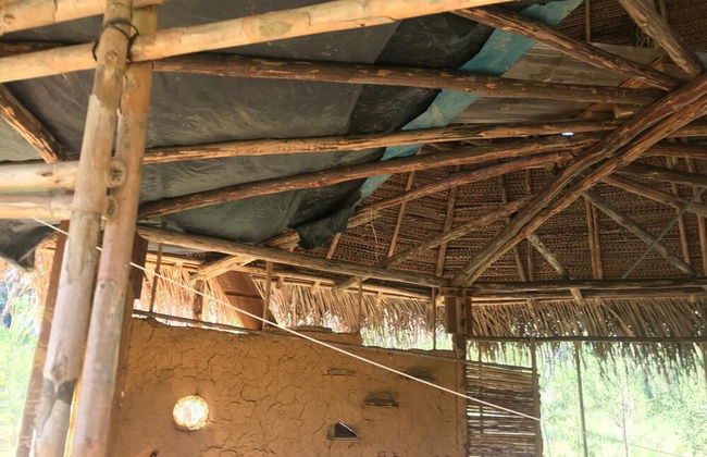 Ayahuaska - Photo 19