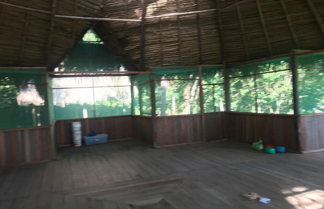 Ayahuaska - Photo 45