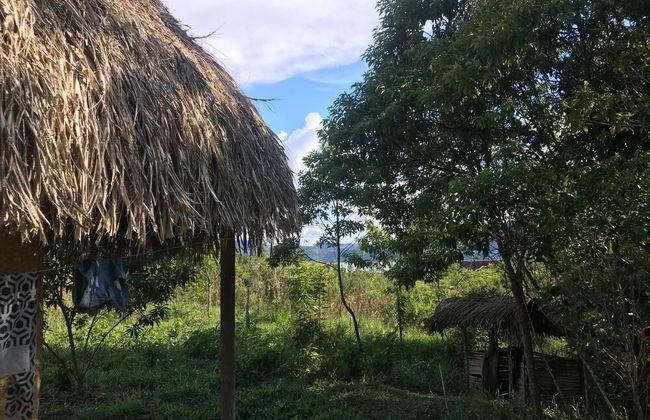 Ayahuaska - Photo 37