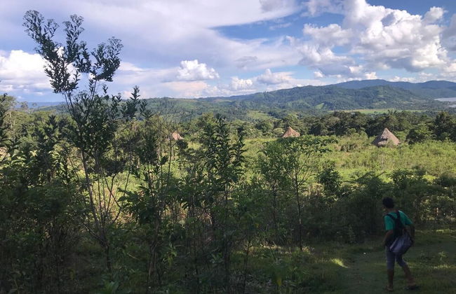 Ayahuaska - Photo 30