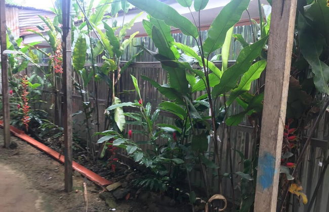 Ayahuaska - Photo 28