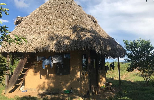 Ayahuaska - Photo 35