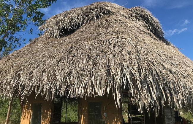 Ayahuaska - Photo 47