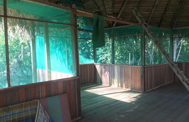 Ayahuaska - Photo 20