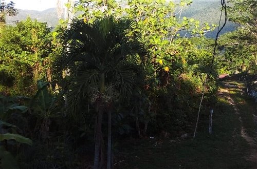 Photo 19 - Lovely 1-bed Cottage in St Catherine Jamaica