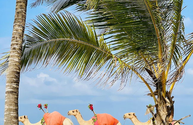 Diani Beachfront Paradise - Foto 8
