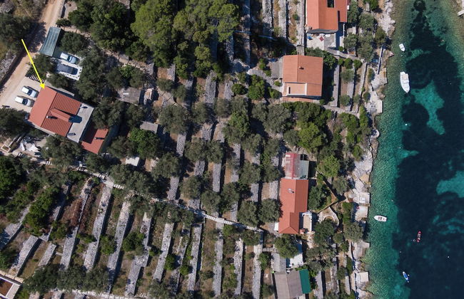 Olive's Garden House - Foto 34