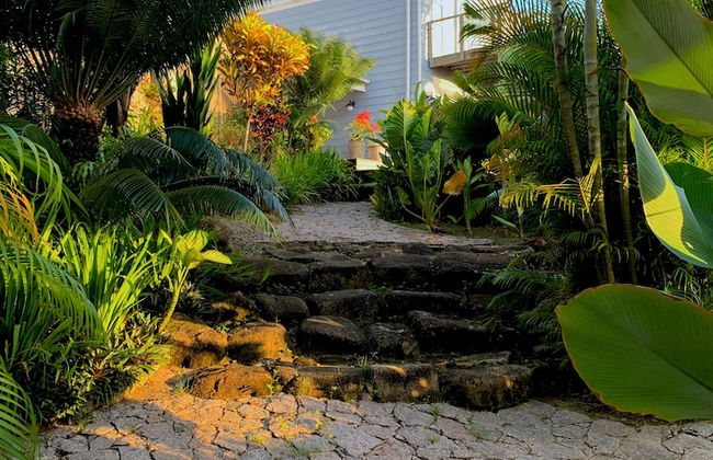 Red Coconut Self Catering - Foto 43