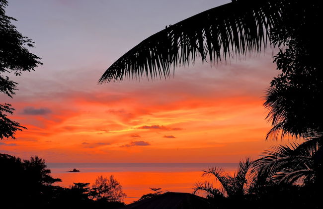 Red Coconut Self Catering - Foto 49