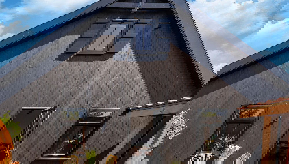 Imagem principal