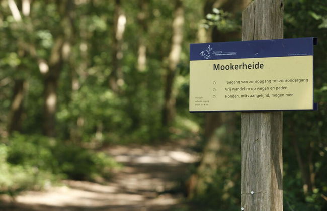 Holiday Home in Gelderland Near Nature Trails - Foto 24