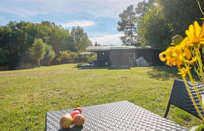 4 Person Holiday Home in Hasle - Foto 19