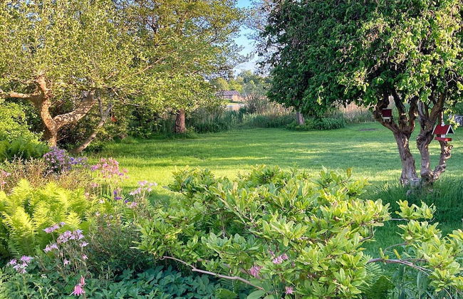 4 Person Holiday Home in Jaegerspris - Foto 15