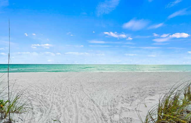 Kingston Arms Modern 1BR On Lido Key - Foto 30