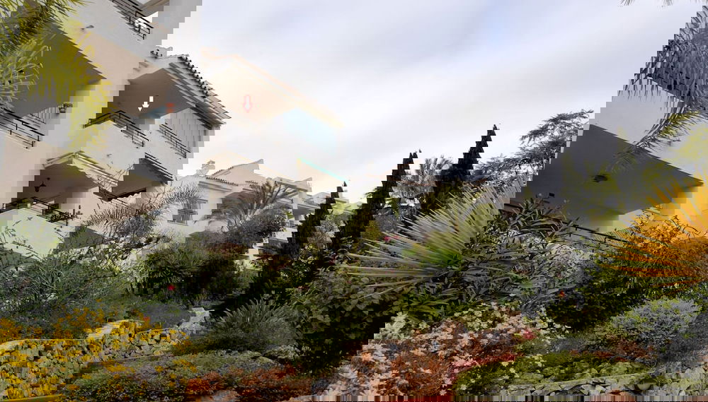 Image principale