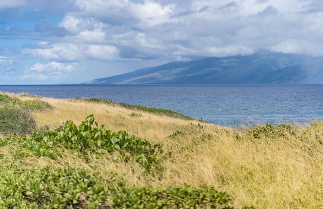 Kapalua Bay Villas 33b1 - Photo 24