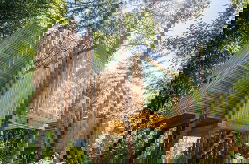 Photo 1 - Treehouse Near Tournai in a Forest Retreat