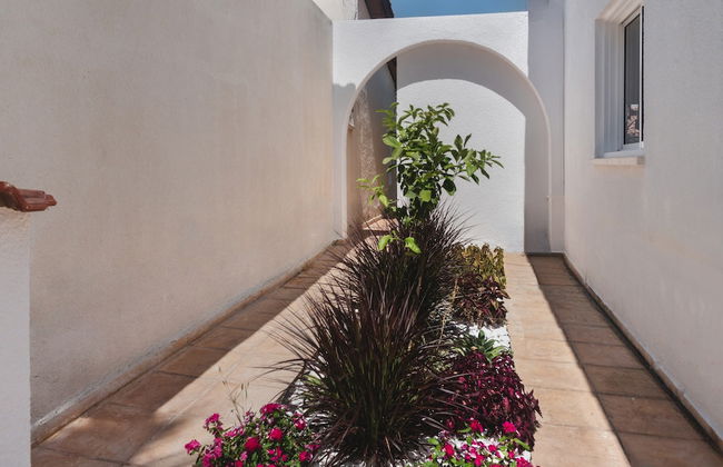 Phaedrus Living Luxury Botanic Residence - Foto 15