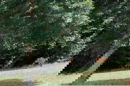 Foto 21 - A Frame of Mind