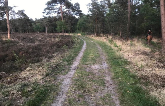 Stylish Stay in Vorden Woods - Foto 41