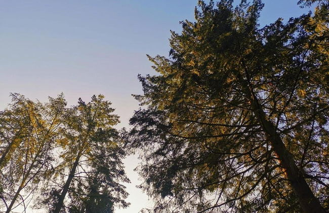 Stylish Stay in Vorden Woods - Foto 38