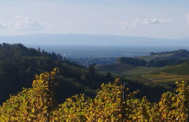 Lovely Apartment in Baden-wurttemberg - Foto 14