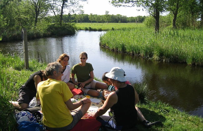 Giethoorn Villa With Modern Touch - Foto 20