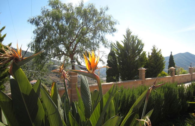 Luxury Villa in Sayalonga With Private Pool - Foto 34