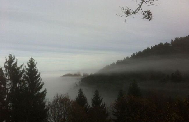 Le Sine Nomine Comfortable Holiday Residence - Photo 10