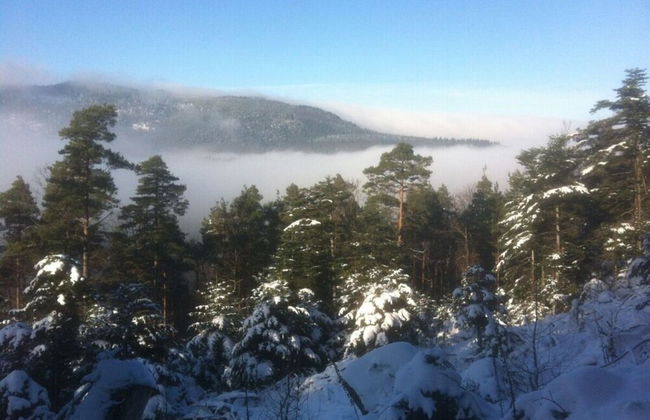 Le Sine Nomine Comfortable Holiday Residence - Photo 9