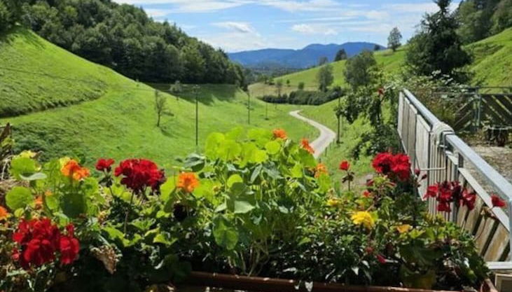 Foto 1 - Eisenmann Holiday Farm
