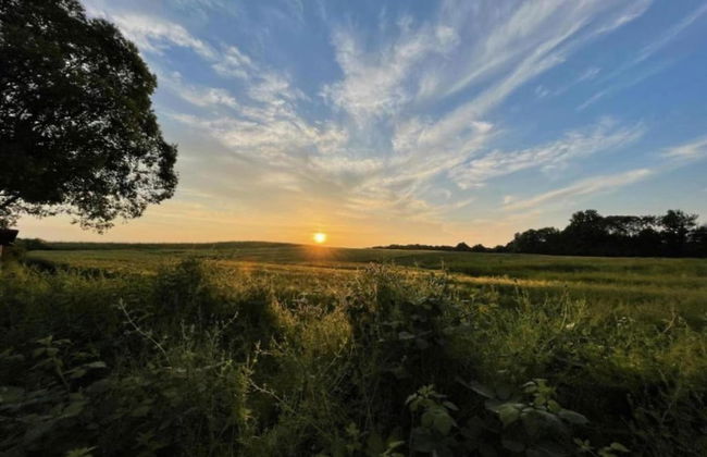 Peaceful Escape in Neu Karin - Foto 33