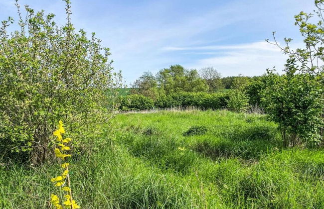 Peaceful Escape in Neu Karin - Foto 38