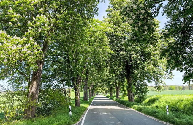 Peaceful Escape in Neu Karin - Foto 34