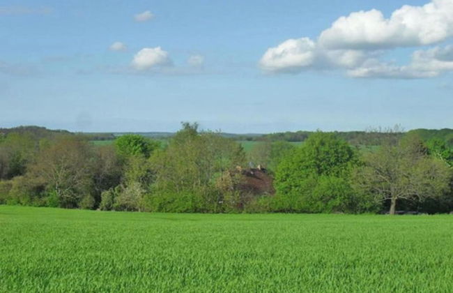 Peaceful Escape in Neu Karin - Foto 28