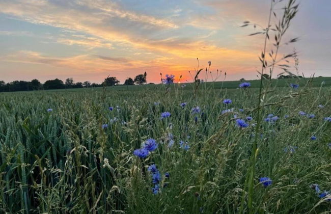 Peaceful Escape in Neu Karin - Foto 30